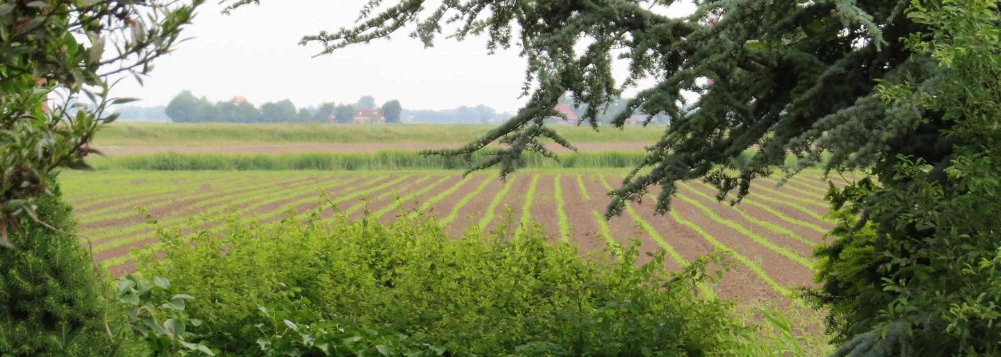Sexbierum Wad Fijnヴィラ エクステリア 写真