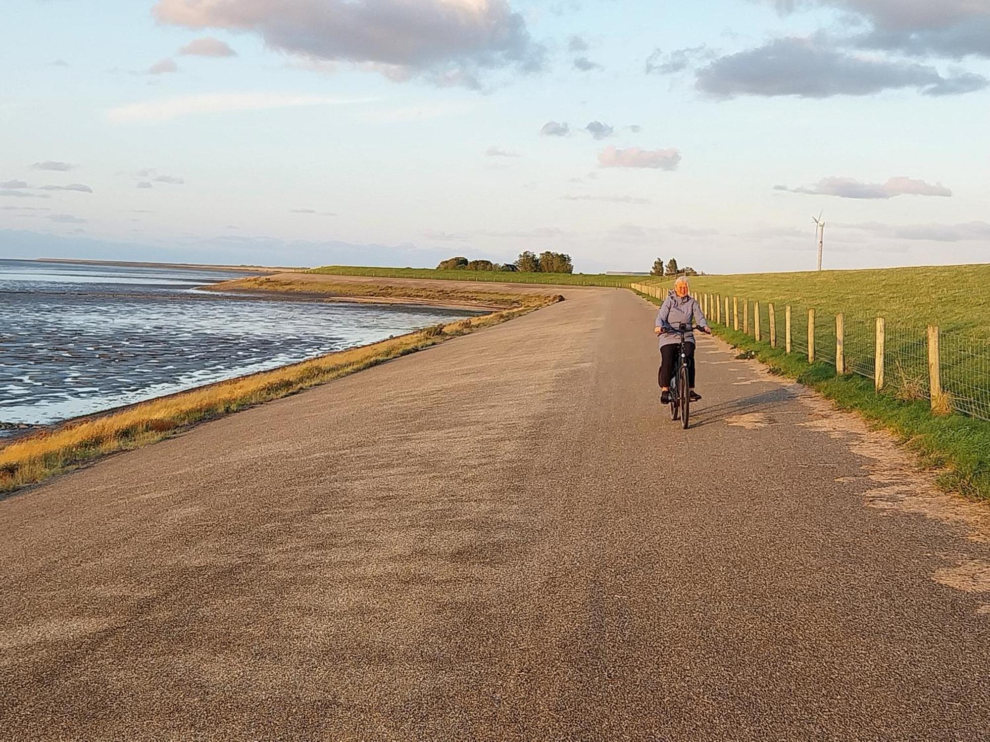 Sexbierum Wad Fijnヴィラ エクステリア 写真